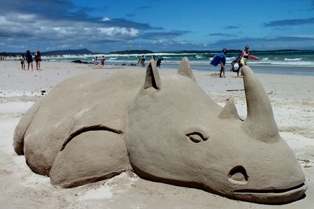 Die sandrenoster op Franskraalstrand.